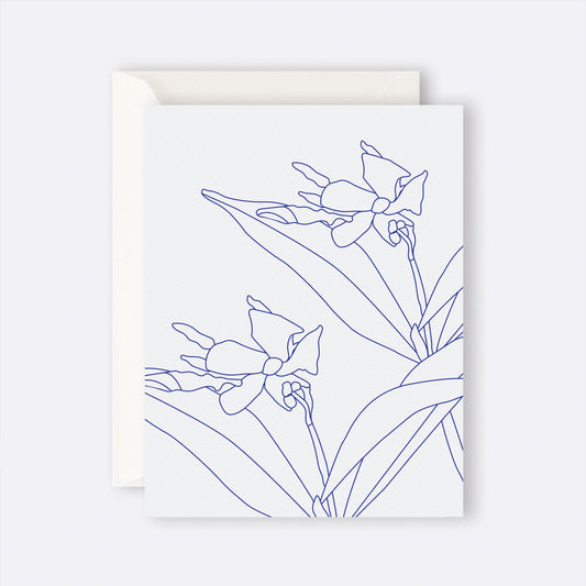 Father Rabbit Blue Jasmine Card